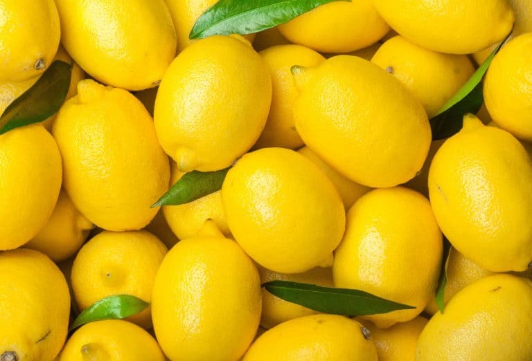 11 Different Types Of Lemons You Probably Didn’t Know About Garden